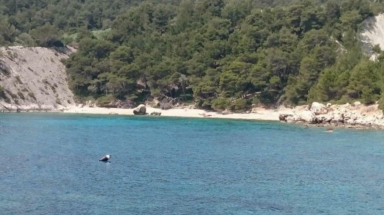 Villa Fortudor Milna  Bagian luar foto